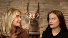 World Animal Protection Sverige släpper åtta nya filmer inför valet