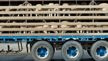 Transport