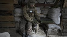 Credit: Andriy Andriyenko/SOPA Images/LightRocket via Getty Images