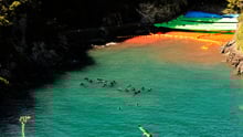 Varje år jagas hundratals delfiner hänsynslöst i havet utanför den japanska staden Taiji. World Animal Protection och Action for Dolphins kan i en ny rapport avslöja att fem stora resebolag har kopplingar till den brutala jakten. - Foto Robert Gilhooly Sept 2023