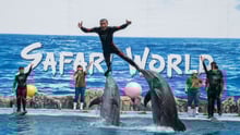 Safari world