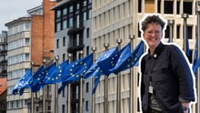 Hopp om viktiga förbättringar för djuren i EU