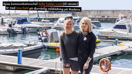 Spies kommunikationschef Sofie Folden Lund (till vänster) är med Lina Dahl på djurvänlig valskådning på Madeira.