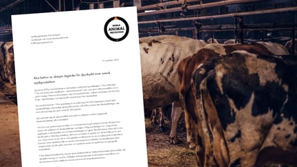 Brev till landsbygdsminister Peter Kullgren