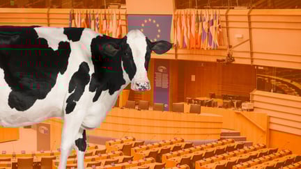 Missa inte chansen att hjälpa djuren i EU