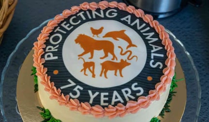 Jubileumsfirande med musik och bok