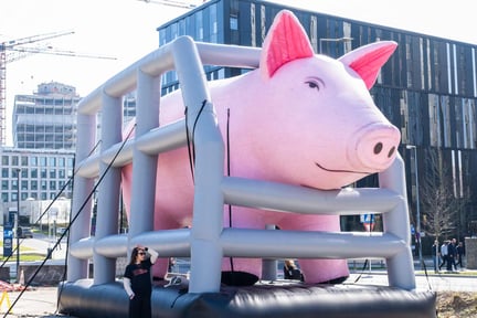 End the cage age (ETCA) - Foto: Roger Pettersson