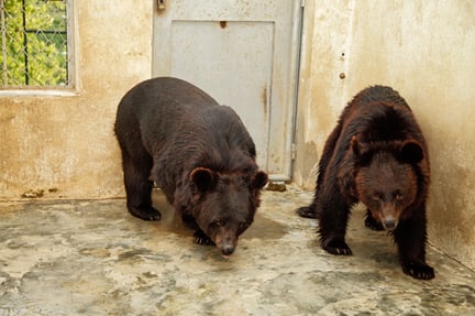 Fairy og Armel i reservatets karantæneområde.