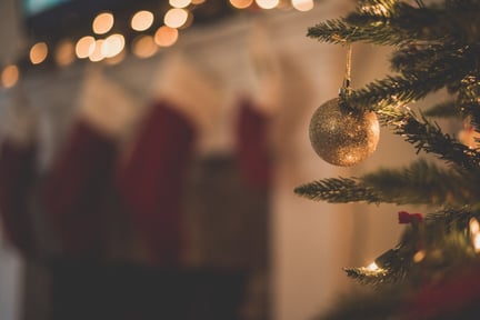 Dags för en djurvänligare jul  för djur, miljö och människor