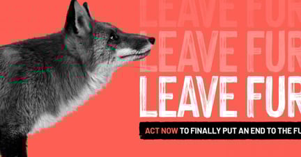 Fur Free Europe