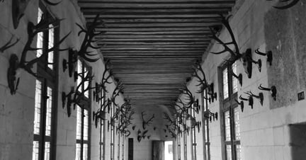 Brittiska regeringen vill  förbjuda import av jakttroféer