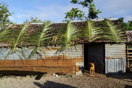 Vulkan på Vanuatu skapade oro för djurägare