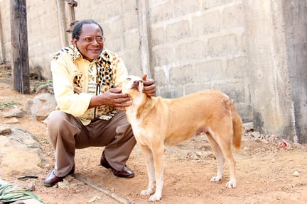 Hundarnas bästa vän i Sierra Leone