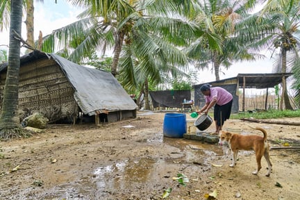 Hjälp har anlänt till tusentals djur i översvämmat Sri Lanka