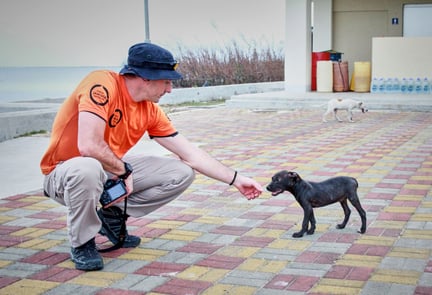 Steven Clegg, disaster response manager for World Animal Protection reaches out to a puppy