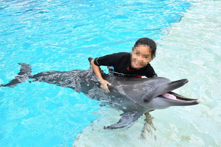 Pictured; A dolphin being used for photo opportunities at Resort World Sentosa, Singapore. Credit Line: World Animal Protection