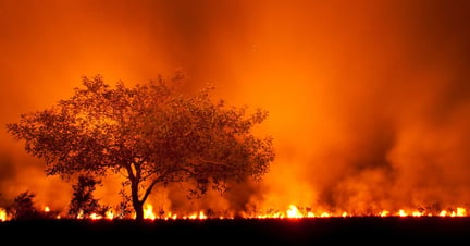 Grass fire at night in Pantanal, Brazil. Spillover of fires from the soy industry into the world’s largest tropical wetland causes widespread devastation.