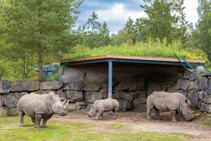 Din guide till Sveriges djurparker