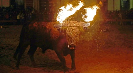 Valencia förbjuder ”eldtjurar”