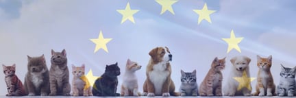 Historiskt EU-skydd mot olaglig handel med hundar och katter