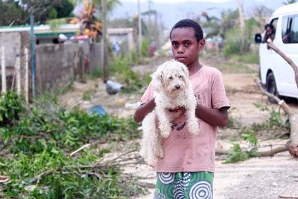 Hjälper djuren i Vanuatu