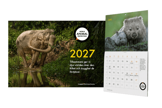 World Animal Protection Sverige Kalender 2027