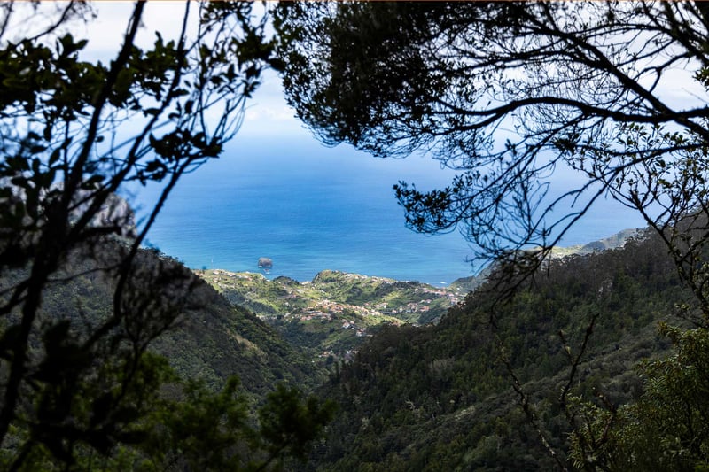 Madeira – en djurvänlig oas i Atlanten