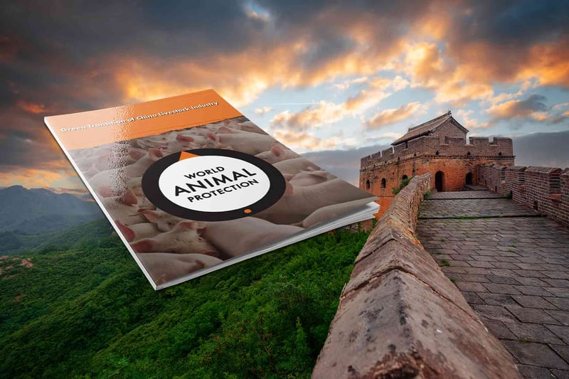 Kina-rapport viktigt steg  mot nytt livsmedelssystem