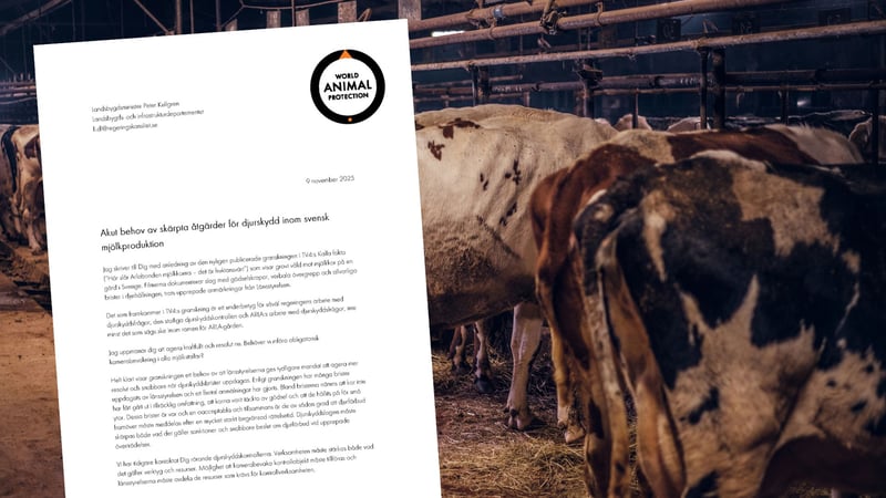 Brev till landsbygdsminister Peter Kullgren