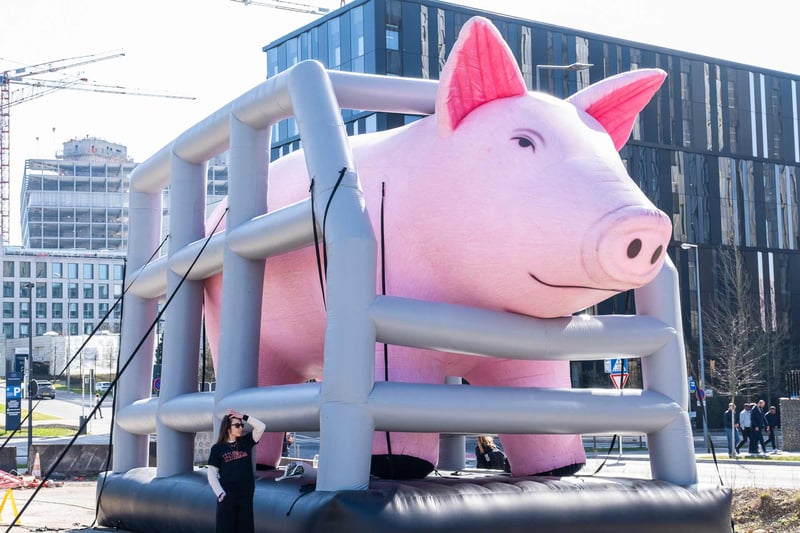 End the cage age (ETCA) - Foto: Roger Pettersson