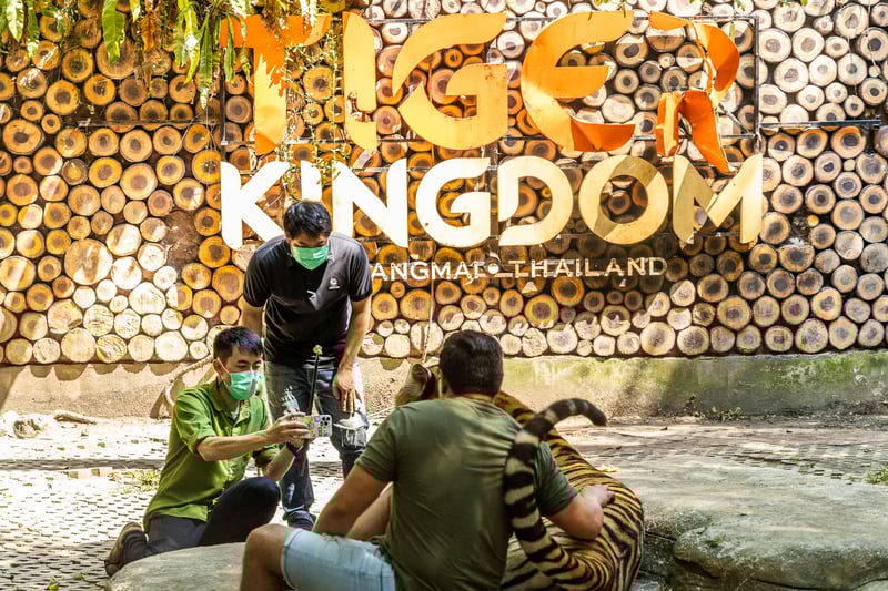 Tiger Kingdom i Chiang Mai