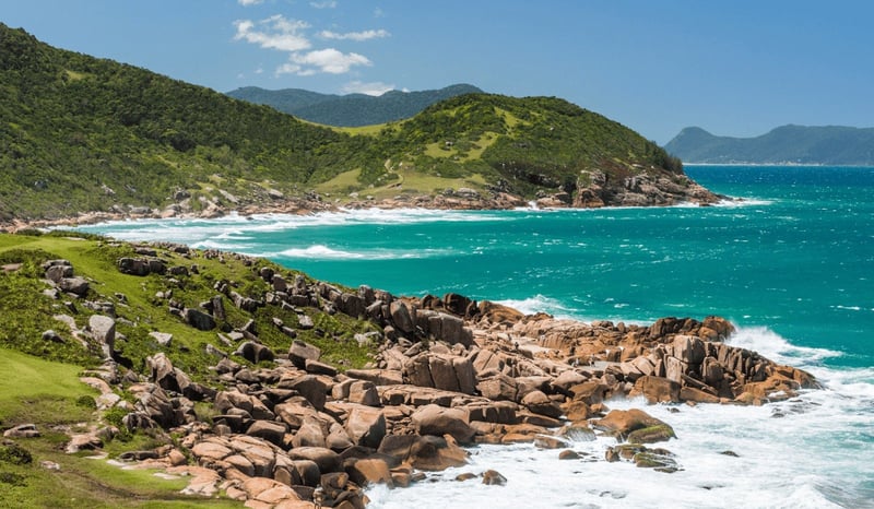 Nytt Wildlife Heritage Area för valar i Brasilien