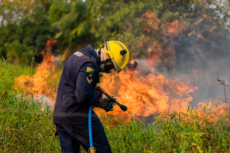 Brandman som släcker skogsbrand