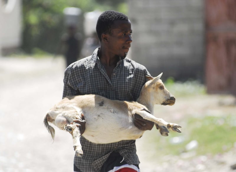 Remembering Haiti after the earthquake