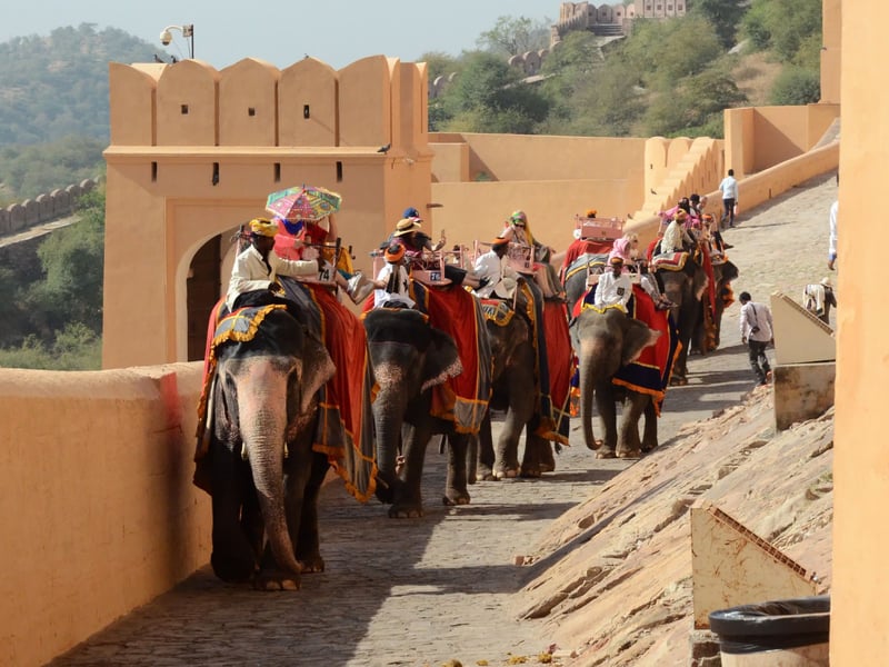 Ett hjärtskärande besök på Amer Fort