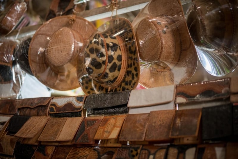 Products using skin from threatened wild animal
