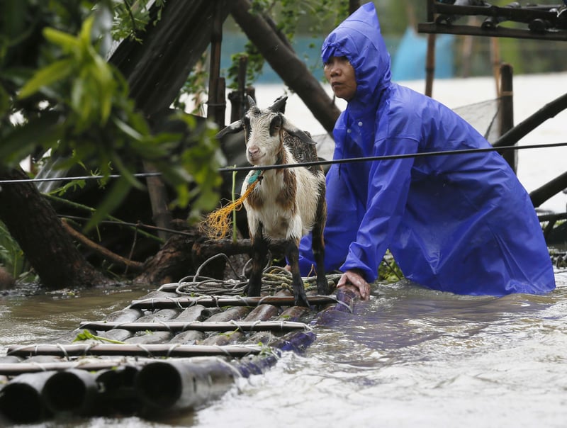 A resident reinforces his flooded home at the height of Super Typhoon Haima which lashes Narvacan township, Ilocos Sur province, Philippines - World Animal Protection