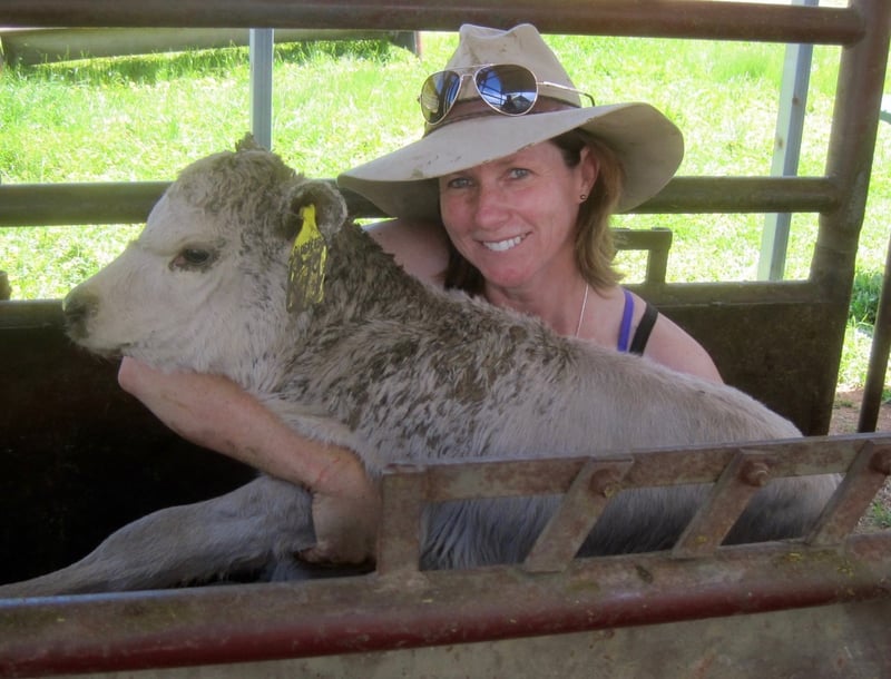 Australisk veterinär får svenskt djurskyddspris