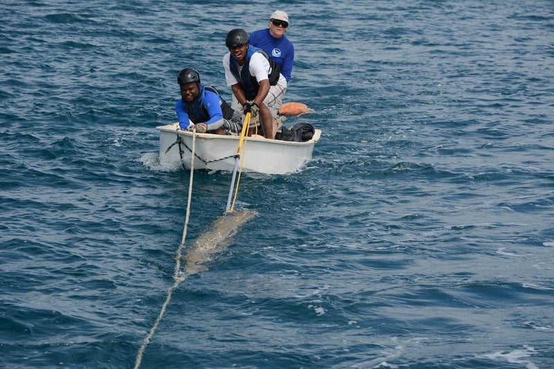 Spøgelsesnet, Tonga