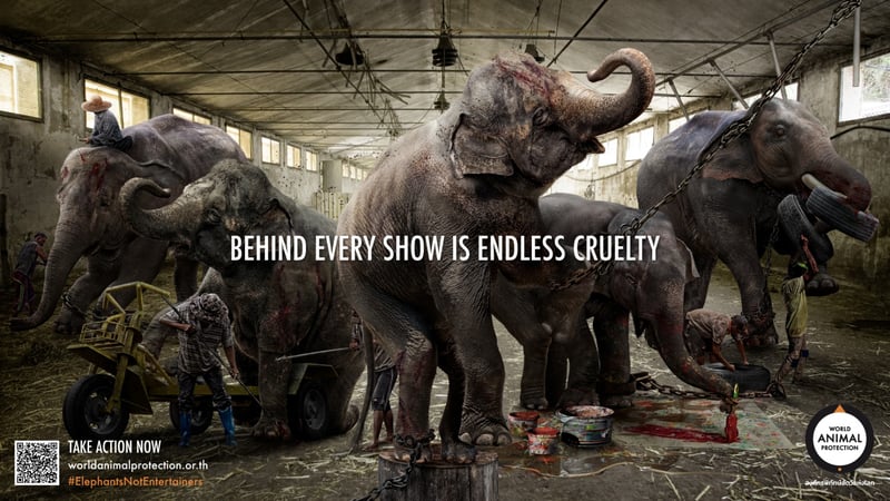 Behind the show