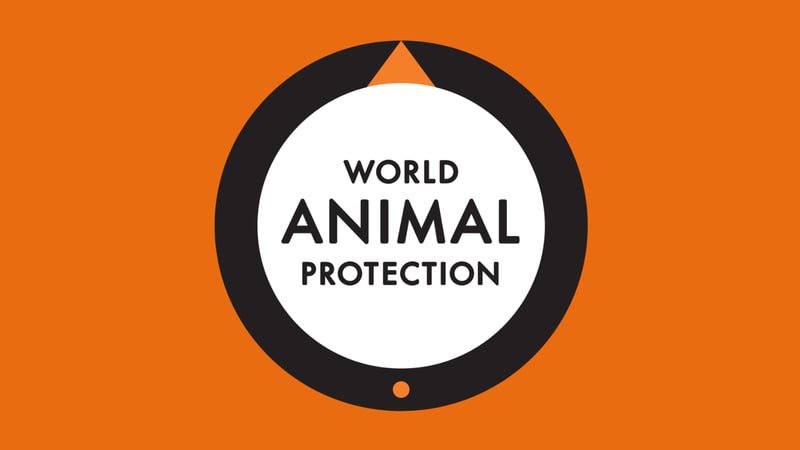 World Animal Protection