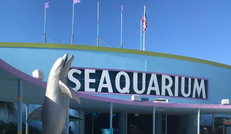 Efter hård kritik från amerikanska myndigheter måste Miami Seaquarium i Florida sluta med sina delfinshower. Det är en stor framgång som World Animal Protection arbetat för sedan 2019. Miami Seaquarium, Florida, USA on September 15, 2019. Three entertainment shows were documented: the “top deck dolphin show” with several bottlenose dolphins, the “Flipper Show” where trainers are seen swimming and doing tricks with the dolphins, and lastly the “Killer Whale Show” with Lolita (Tokitae) and three Pacific-white-sided dolphins. Pictured: the entrance to Miami Seaquarium. Foto: Emily Huggins